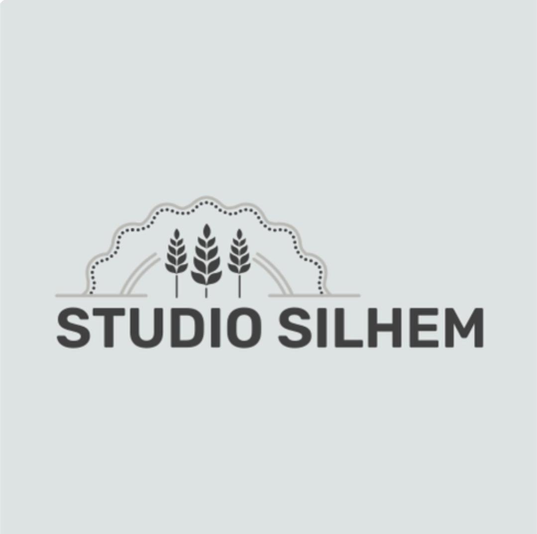Studio Silhem Saint-Germain-les-Belles Zewnętrze zdjęcie